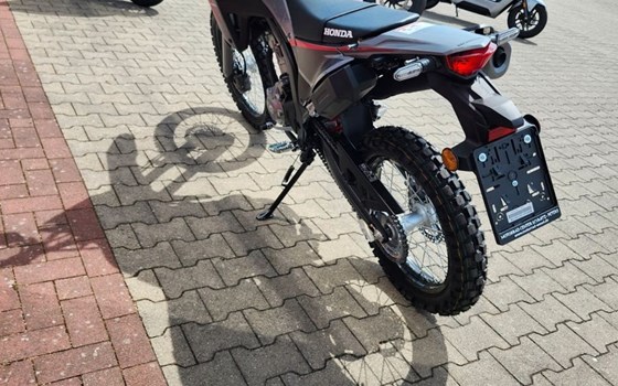 Neufahrzeug Honda CRF300L - Bild 6