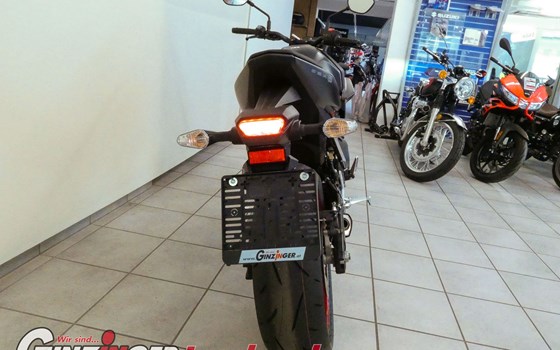 Neufahrzeug Suzuki GSX-8S - Bild 5 Neufahrzeug Suzuki GSX-8S - Bild 5