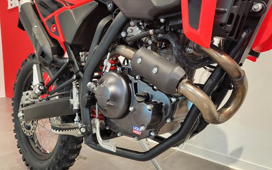 Neufahrzeug Beta RR 125 4T LC Enduro - Bild 15