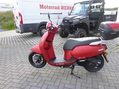 Filly 50i