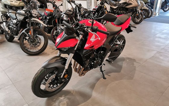 Neufahrzeug Honda CB1000 Hornet - Bild 2