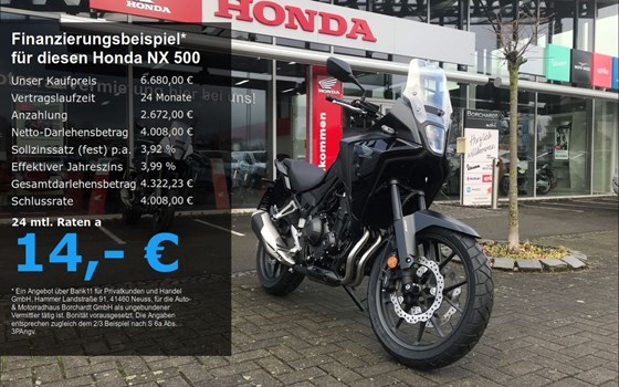 Neufahrzeug Honda NX500 - Bild 1