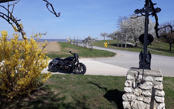 Gebrauchtmotorrad Harley-Davidson Sportster S RH1250S - Bild 29 Gebrauchtmotorrad Harley-Davidson Sportster S RH1250S - Bild 29