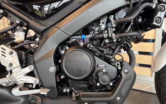 Neufahrzeug Yamaha XSR125 Legacy - Bild 11