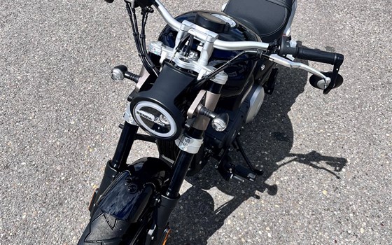 Neufahrzeug Benda Chinchilla 125 - Bild 6