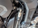 Angebot Triumph Trident 660