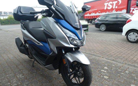 Gebrauchtmotorrad Honda Forza 125 - Bild 3