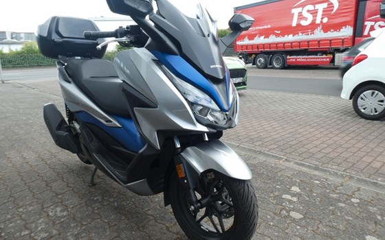 Gebrauchtmotorrad Honda Forza 125 - Bild 4