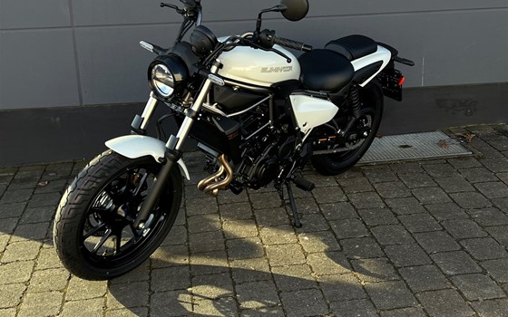 Neufahrzeug Kawasaki Eliminator 500 - Bild 4