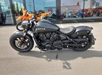 Angebot Indian Scout Bobber