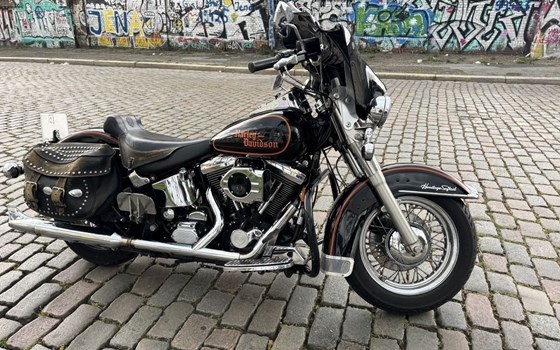 Gebrauchtmotorrad Harley-Davidson Softail Standard FXST - Bild 1