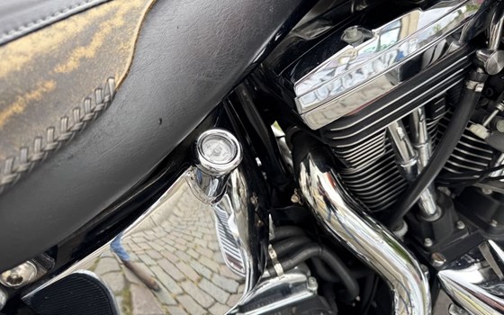 Gebrauchtmotorrad Harley-Davidson Softail Standard FXST - Bild 16