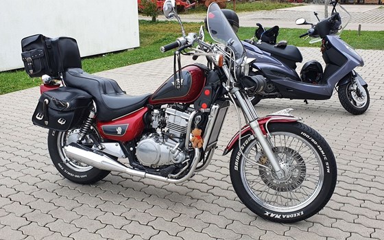 Gebrauchtmotorrad Kawasaki EN 500 - Bild 16