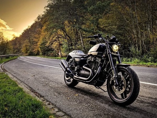 Gebrauchtmotorrad Harley-Davidson Sportster XR 1200X
