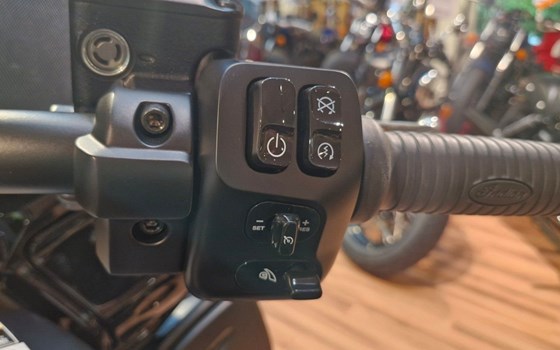 Neufahrzeug Indian Pursuit Dark Horse - Bild 12