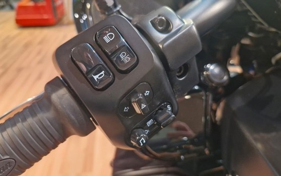 Neufahrzeug Indian Pursuit Dark Horse - Bild 13