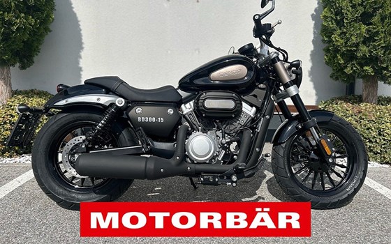 Neufahrzeug Benda Chinchilla 300 - Bild 2