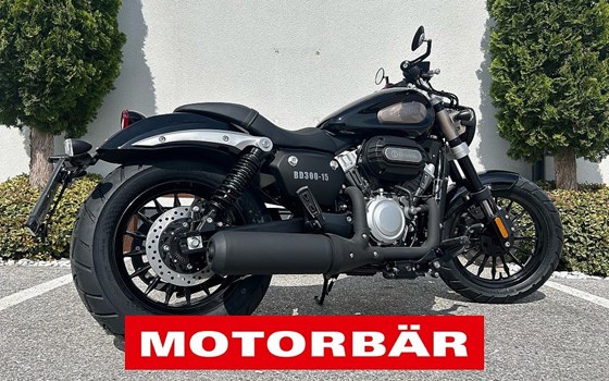 Neufahrzeug Benda Chinchilla 300 - Bild 3