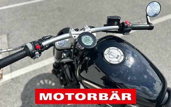 Neufahrzeug Benda Chinchilla 300 - Bild 9