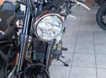 Angebot Royal Enfield Bear 650