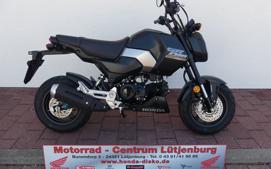 Neufahrzeug Honda MSX125 Grom - Bild 1