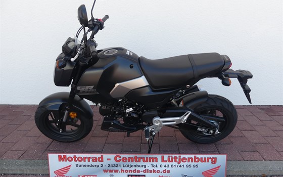 Neufahrzeug Honda MSX125 Grom - Bild 3