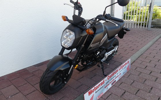 Neufahrzeug Honda MSX125 Grom - Bild 4
