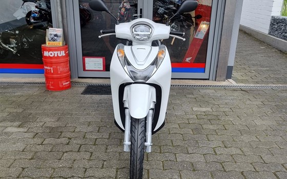 Neufahrzeug Honda SH Mode 125 - Bild 2