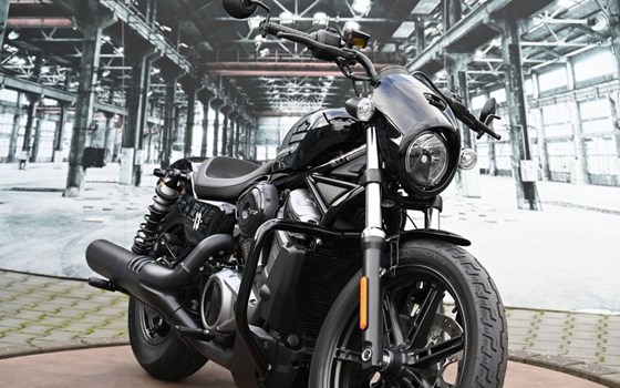 Gebrauchtmotorrad Harley-Davidson Nightster - Bild 6