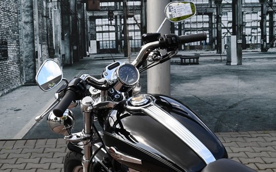 Gebrauchtmotorrad Harley-Davidson Sportster XL 1200 C 110th Anniversary - Bild 8