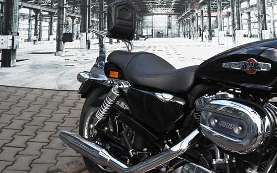 Gebrauchtmotorrad Harley-Davidson Sportster XL 1200 C 110th Anniversary - Bild 9