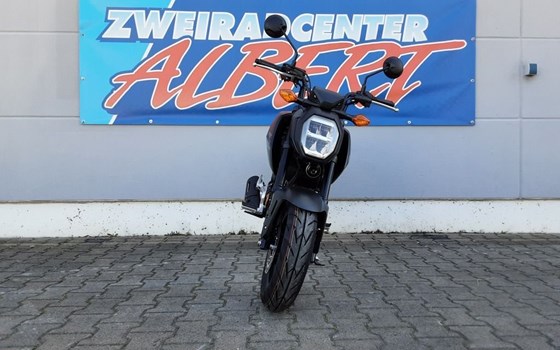 Gebrauchtmotorrad Honda MSX 125 - Bild 6