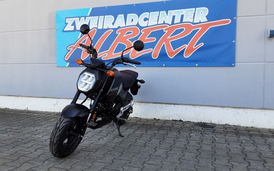 Gebrauchtmotorrad Honda MSX 125 - Bild 9