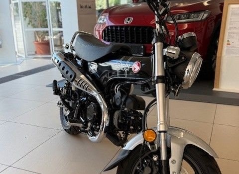 Neufahrzeug Honda Dax 125 - Bild 1