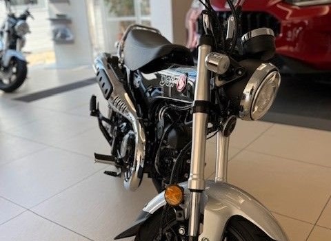 Neufahrzeug Honda Dax 125 - Bild 2