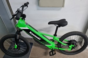 Angebot Kawasaki Elektrode 20