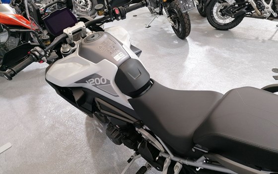 Neufahrzeug Triumph Tiger 1200 Rally PRO - Bild 6 Neufahrzeug Triumph Tiger 1200 Rally PRO - Bild 6