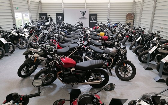 Neufahrzeug Triumph Tiger 1200 Rally PRO - Bild 9