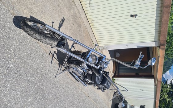 Gebrauchtmotorrad Suzuki Intruder C1500 - Bild 4 Gebrauchtmotorrad Suzuki Intruder C1500 - Bild 4