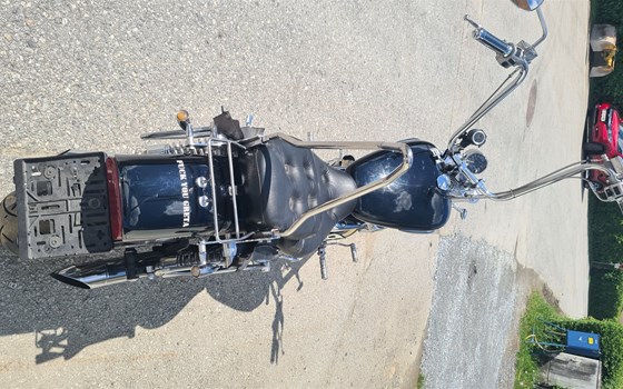 Gebrauchtmotorrad Suzuki Intruder C1500 - Bild 6 Gebrauchtmotorrad Suzuki Intruder C1500 - Bild 6