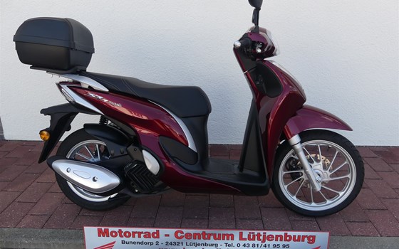 Gebrauchtmotorrad Honda SH Mode 125 - Bild 1