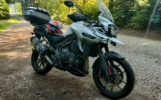 Motorrad Occasion Triumph Tiger 1200 XRx Low - Bild 1