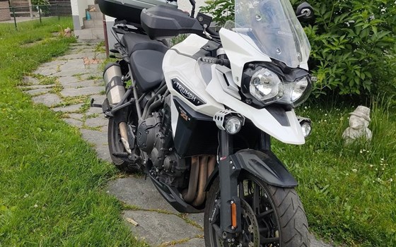 Motorrad Occasion Triumph Tiger 1200 XRx Low - Bild 3