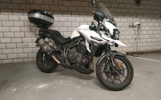 Motorrad Occasion Triumph Tiger 1200 XRx Low - Bild 6