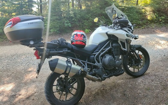 Motorrad Occasion Triumph Tiger 1200 XRx Low - Bild 7