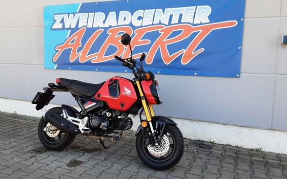 Gebrauchtmotorrad Honda MSX 125 - Bild 2