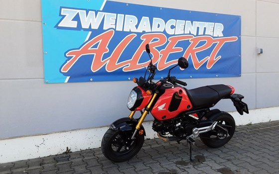 Gebrauchtmotorrad Honda MSX 125 - Bild 6