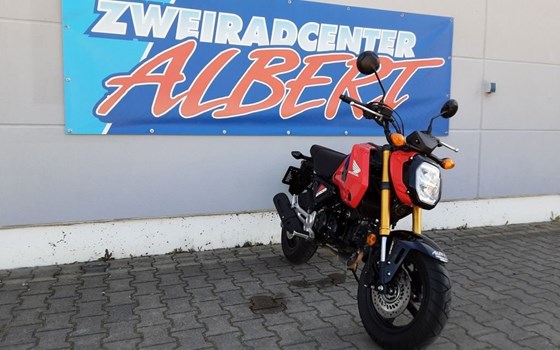 Gebrauchtmotorrad Honda MSX 125 - Bild 9