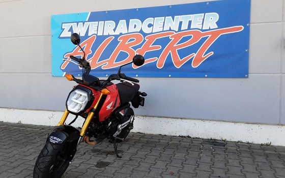Gebrauchtmotorrad Honda MSX 125 - Bild 9