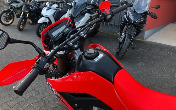 Neufahrzeug Honda CRF300L - Bild 7